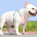 Kit Coleira Peitoral & Guia Pet Lizz