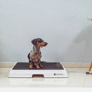 Weasy Cão | Banheiro inteligente para cachorro