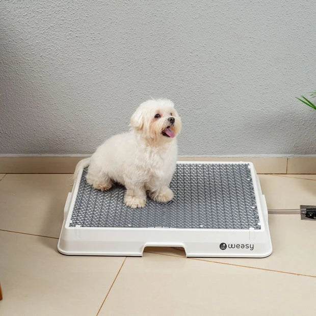 Weasy Cão | Banheiro inteligente para cachorro