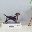 Weasy Cão | Banheiro inteligente para cachorro